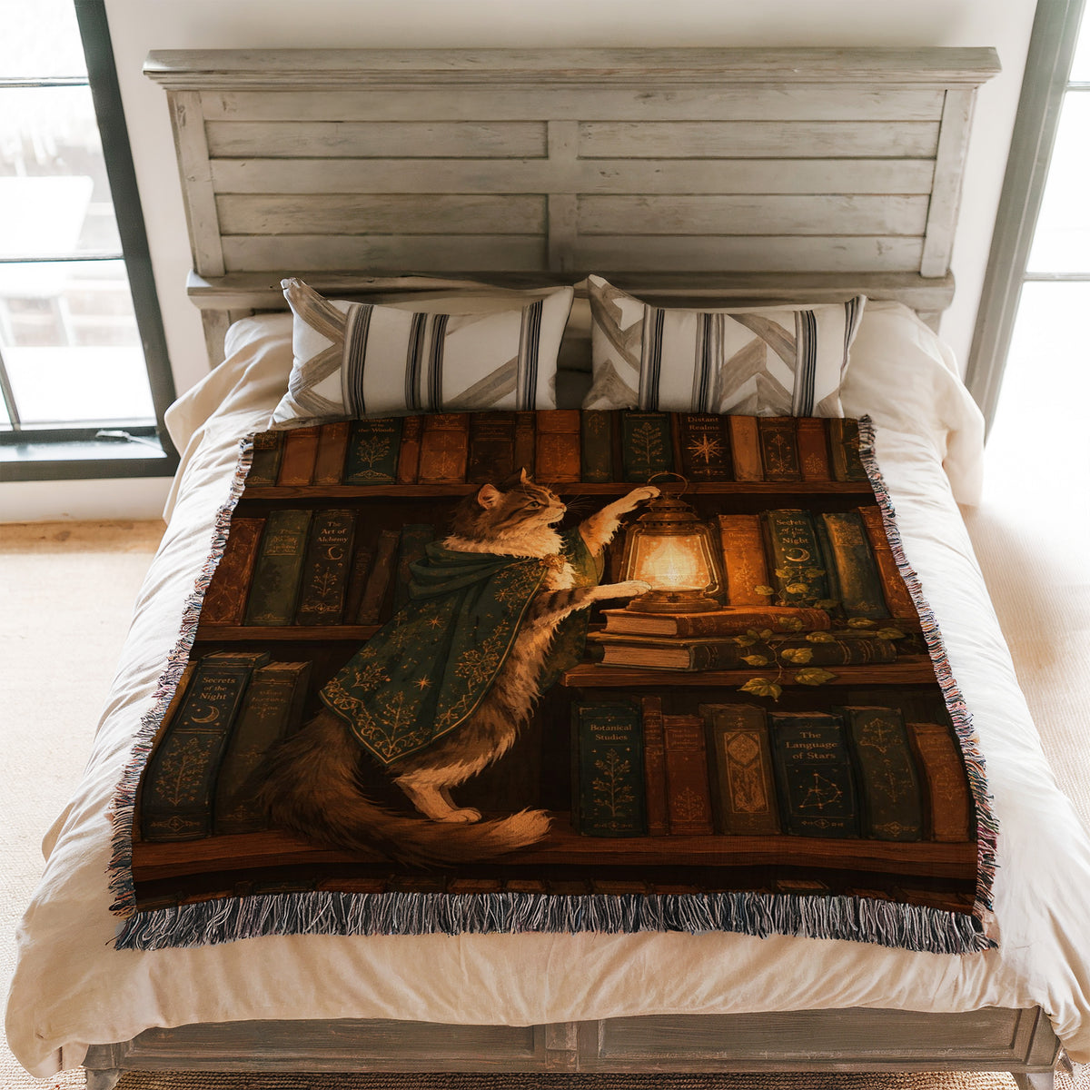 The Lantern Cat Librarian Blanket