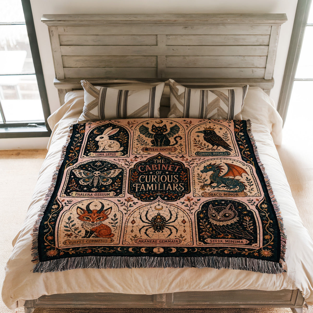 Cabinet of Curious Familiars Blanket